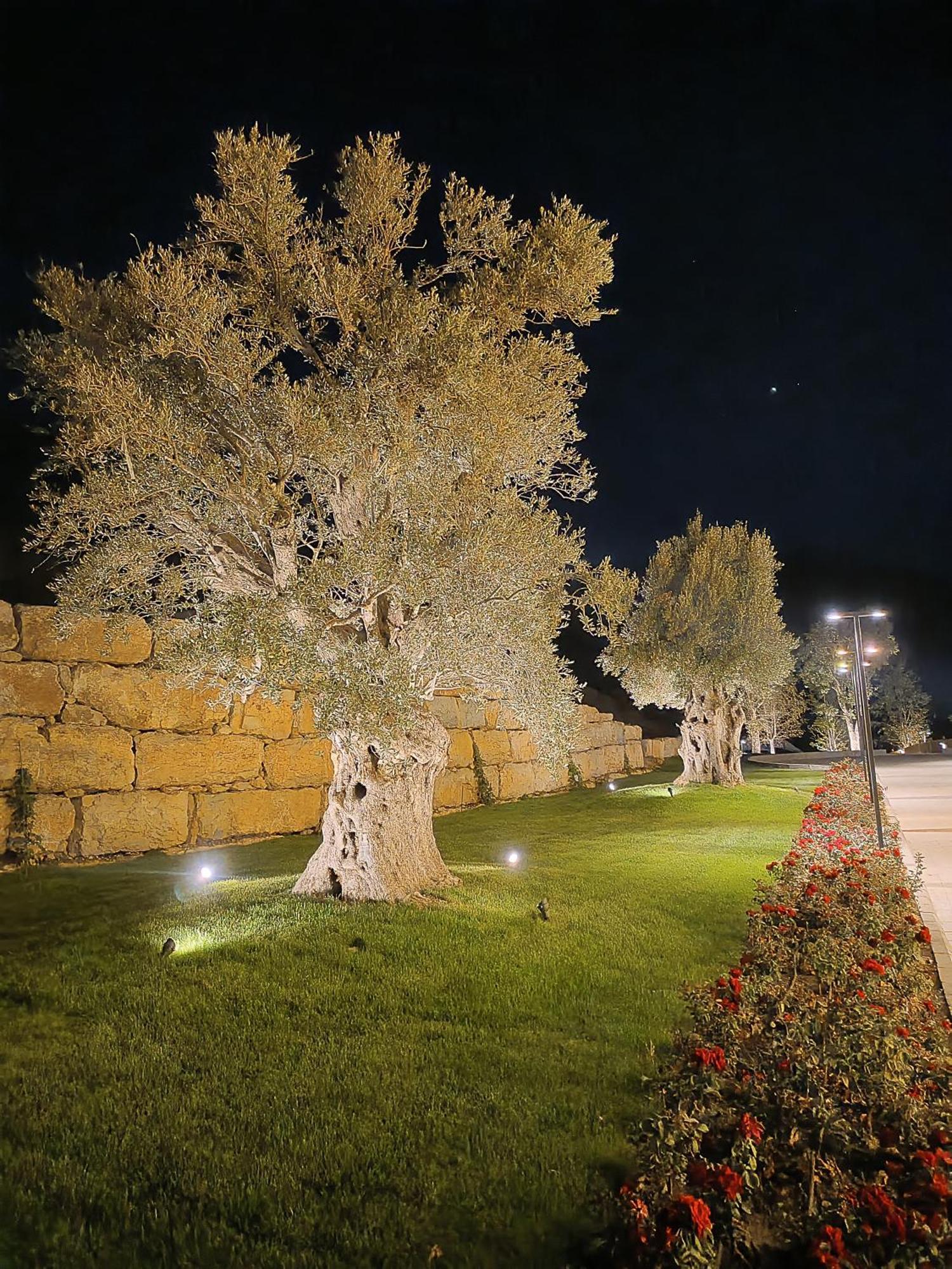 Cherrytales Ḩammānā Buitenkant foto